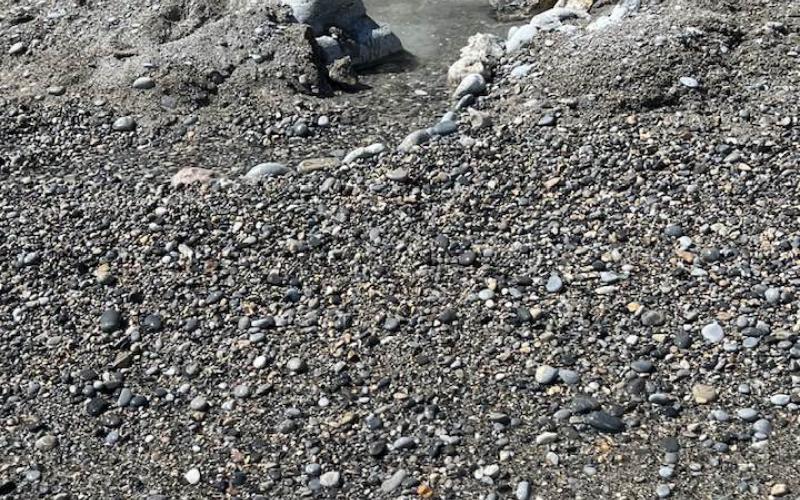 Sorgenti di acqua dolce, freddissima nella glika nera beach