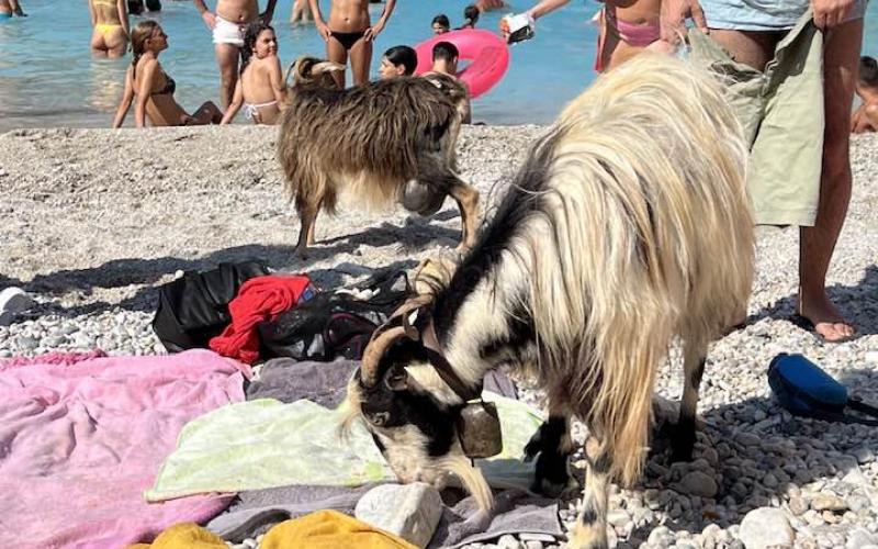 La spiaggia di Seitan Limania a Creta