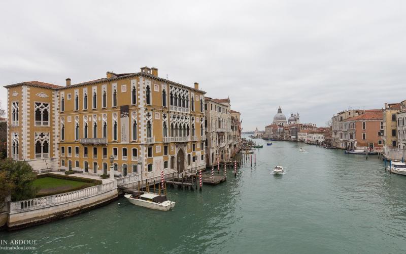 Palazzo Cavalli Franchetti, la facciata che da sul canal grande